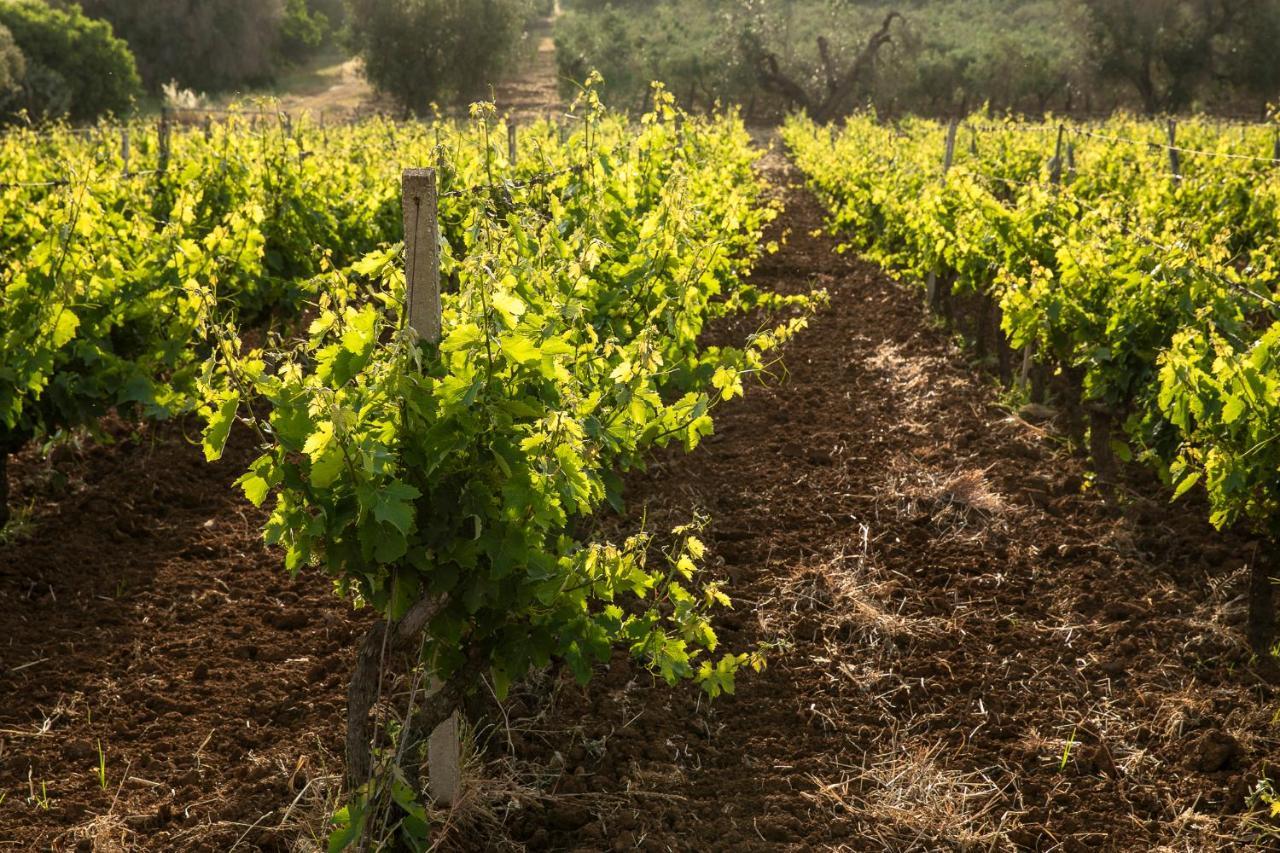 Séjour à la ferme Masseria Baroni Nuovi *