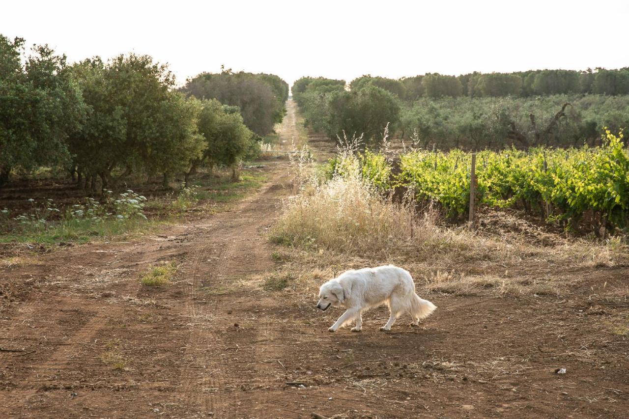 Masseria Baroni Nuovi *