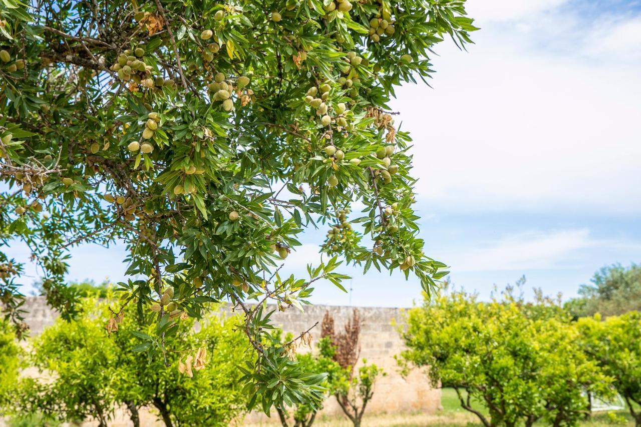 Masseria Baroni Nuovi * Brindisi