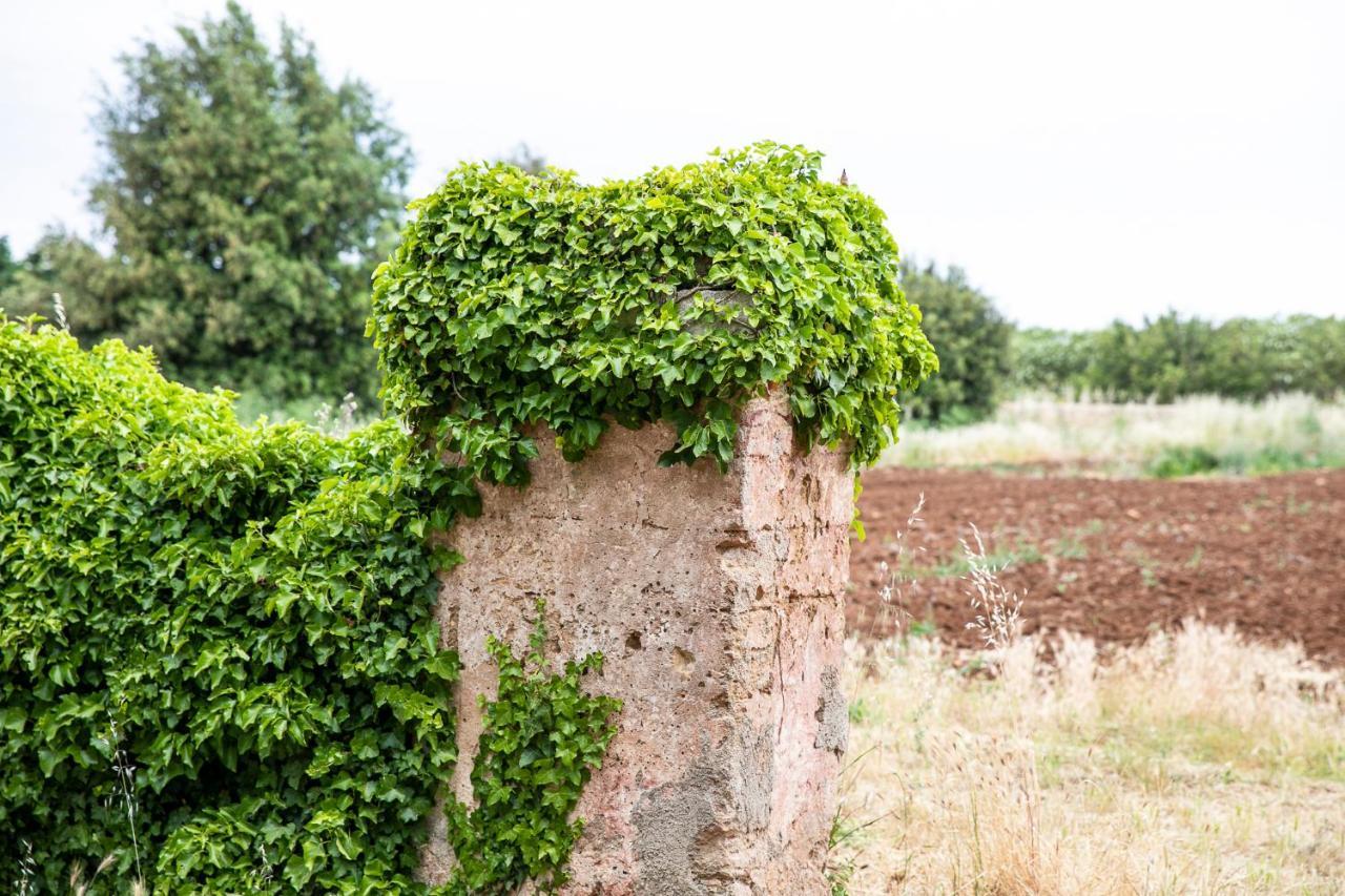 Masseria Baroni Nuovi *